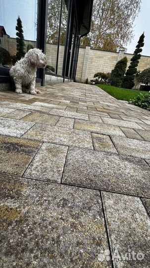 Тротуарная плитка с завода