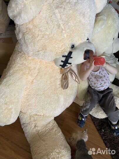 Плюшевый медведь 2 метра и 1,5 метра