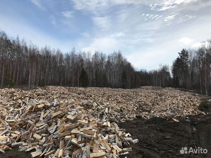 Дрова березовые колотые