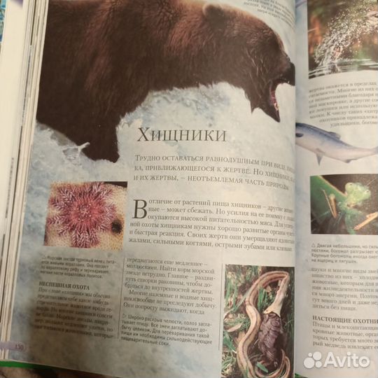 Энциклопедия живой природы махаон