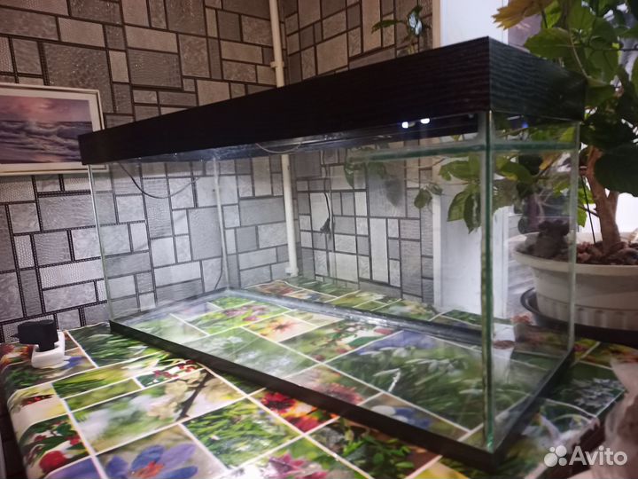 Аквариум для рыб
