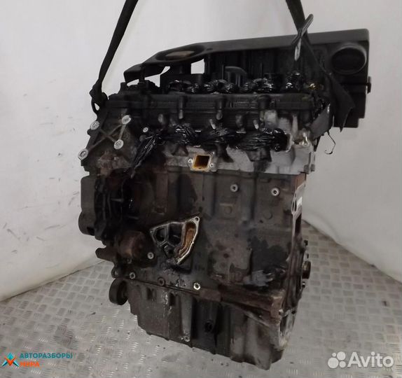 Двигатель Land Rover Freelander 2003 204D3