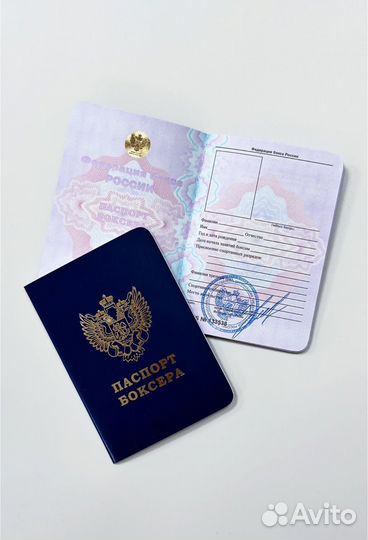 Паспорт боксера