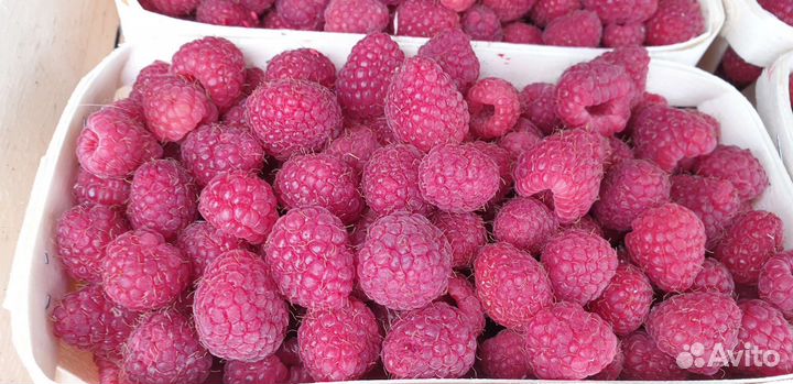 Малина отборная вкусная сладкая с бесплатной доста
