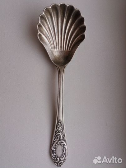 Ложка ракушка