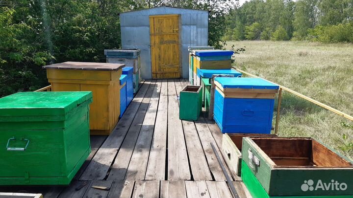 Пчеловодный прицеп