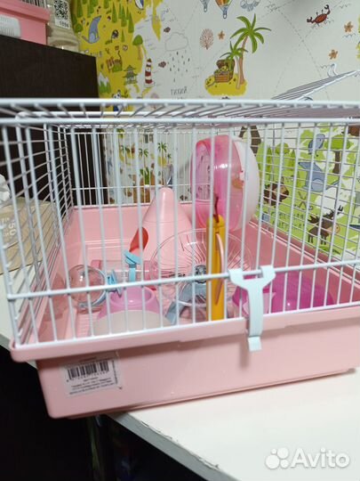 Ручные джунгарские хомяки с клеткой