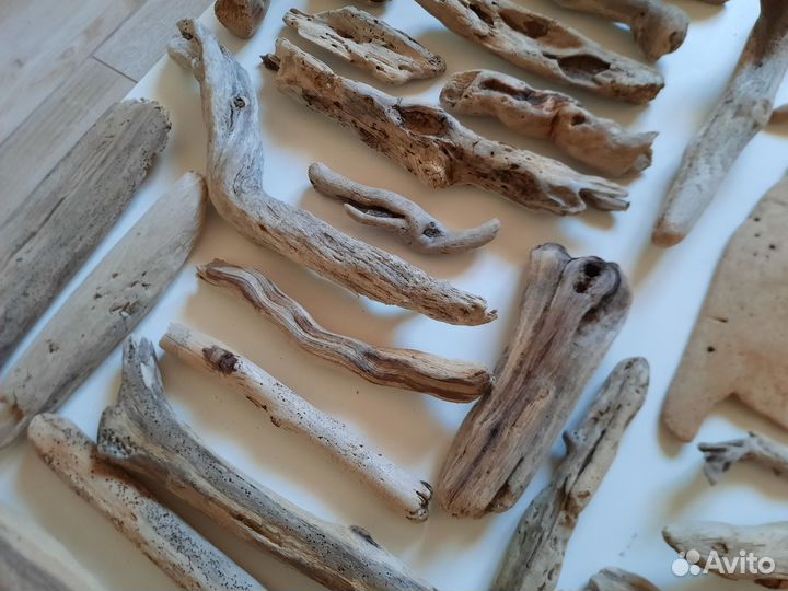 Дрифтвуд Чёрного моря (набор)