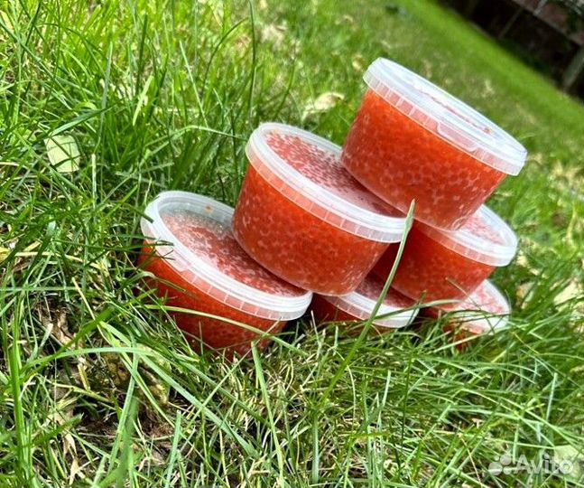 Красная икра кеты 2023г в наличии