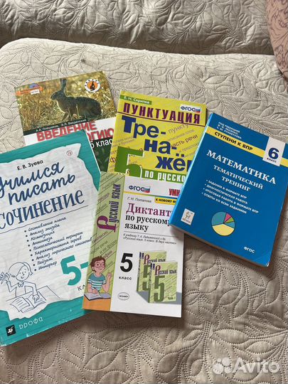Пособия по русскому и математике