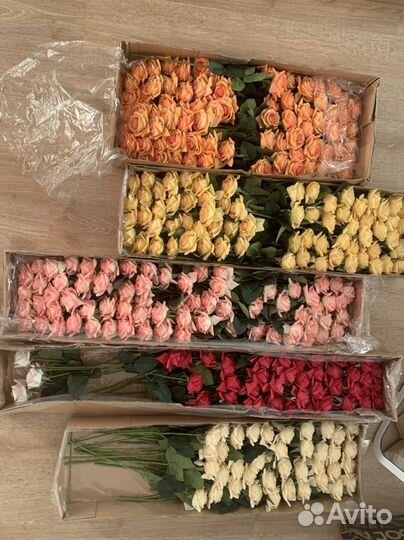 Искусственные цветы реал тач