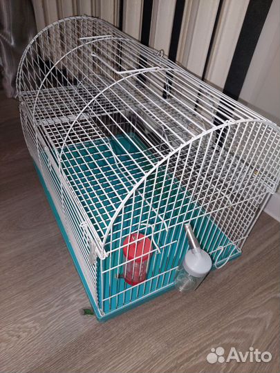 Клетка для грызунов бу