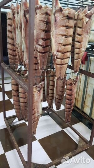 Рыба холодного копчения