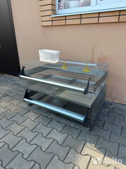 Клетки для перепелов на 100 голов