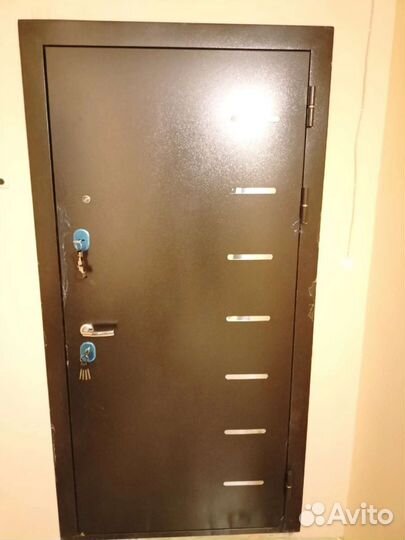 Двери входные с зеркалом от производителя
