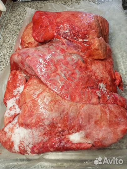 Мясо для собак