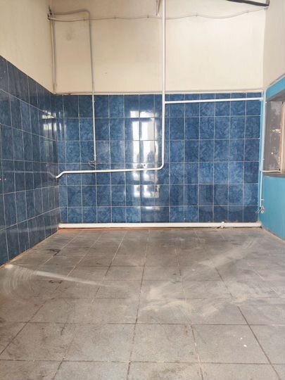 Общепит, 78.2 м²