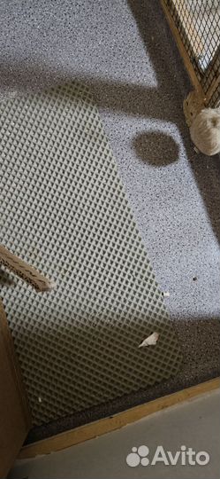 Вольер родильня