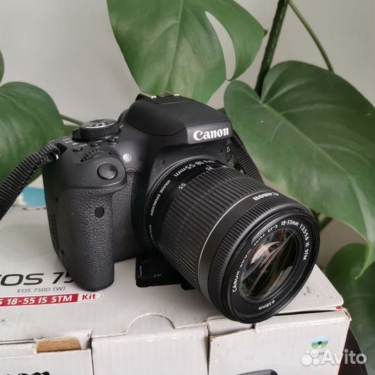 Canon eos 750d + объектив Canon 18-55 mm