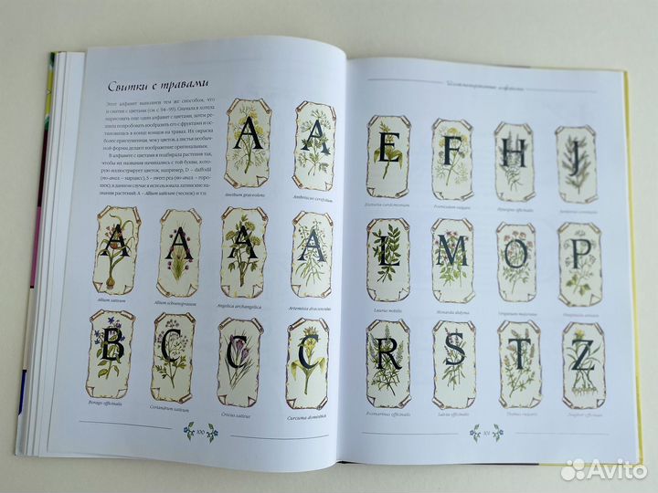 Книга декоративная каллиграфия Патриция Картер