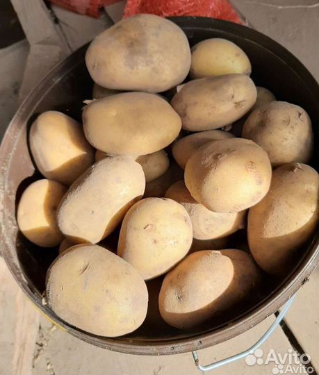 Продам картофель с доставкой