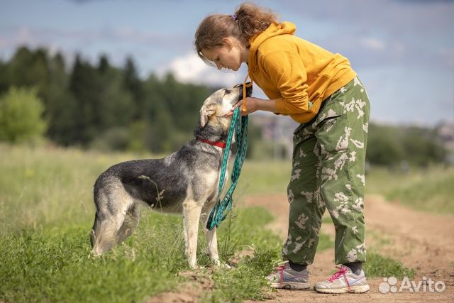 Хлоя: девочка, которая мечтает