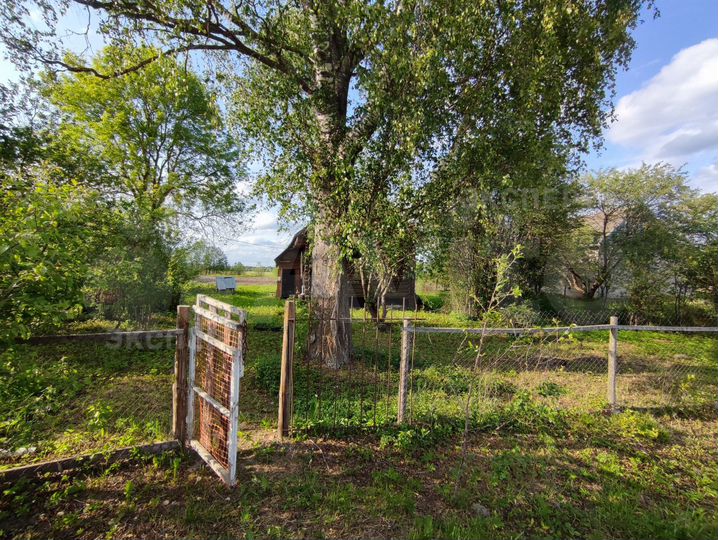 Дом 32,9 м² на участке 24 сот.