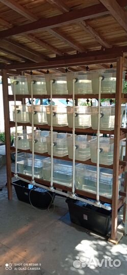 Маточник с малешником для креветок или раков аккр