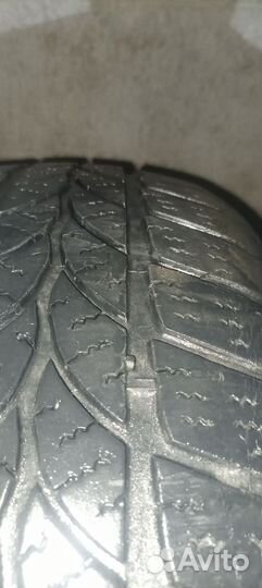 Tigar Winter 1 205/55 R16