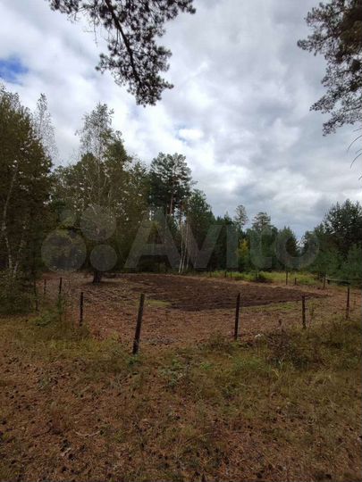 Участок 4 сот. (СНТ, ДНП)