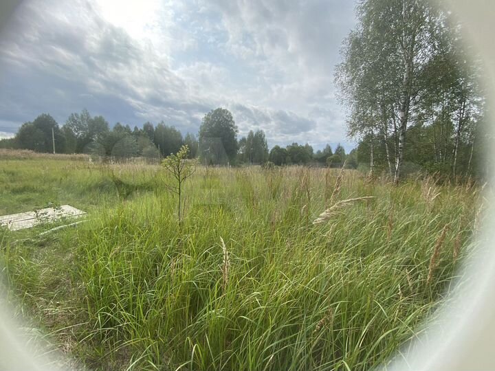 Участок 20 сот. (СНТ, ДНП)