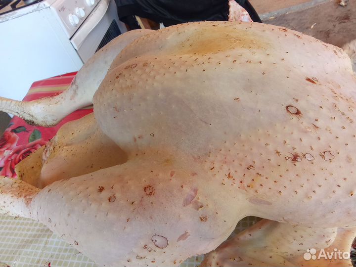 Домашнее мясо