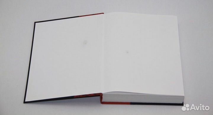 Большая иллюстрированная энциклопедия Русский мир