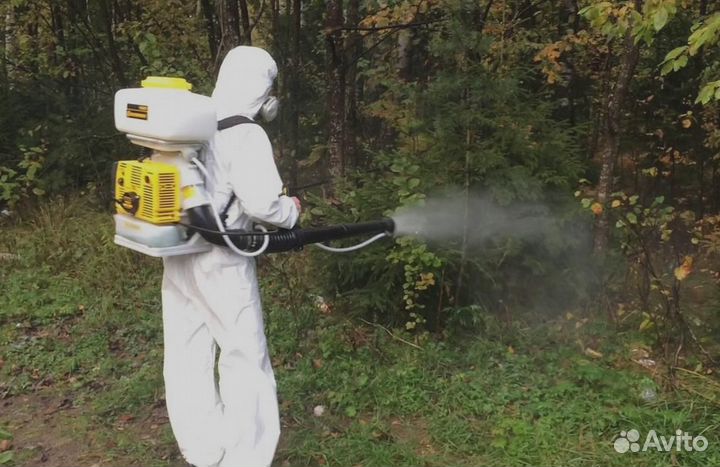 Уничтожение клопов тараканов грызунов грибка плесе