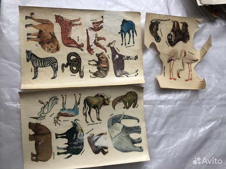 Картинки переводилки СССР