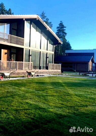 Рулонный газон