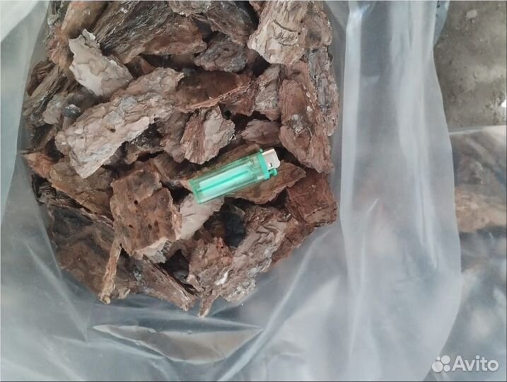 Сосновая кора