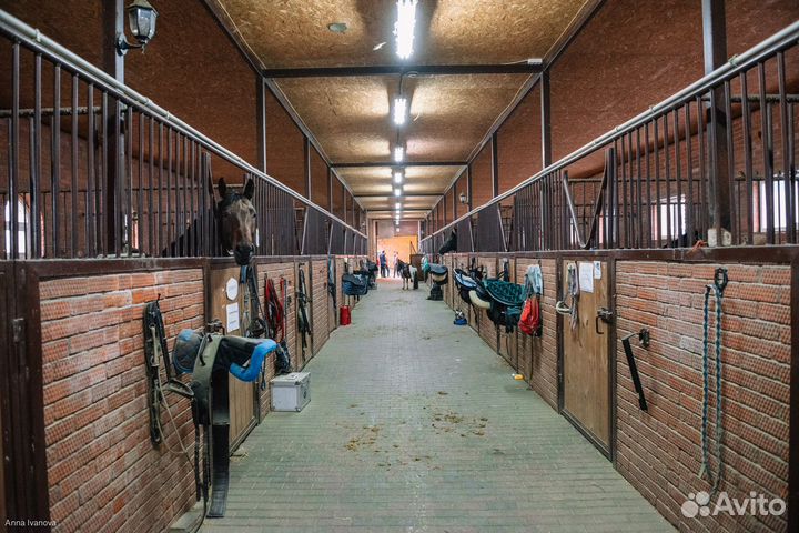 Аренда денника, постой лошадей