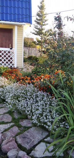 Дача 45 м² на участке 4,5 сот.