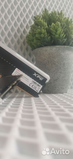 Оперативная память ddr4 2x8gb xpg