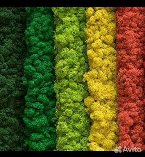 Кашпо со стабилизированным мхом