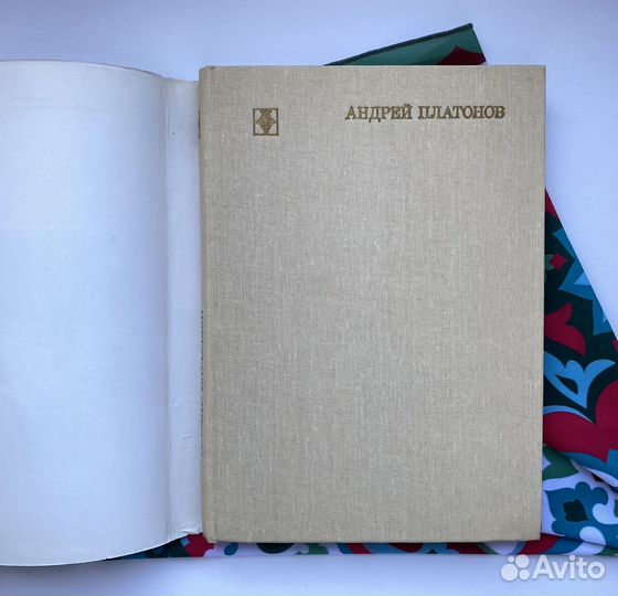 Андрей Платонов (1982) / Владимир Васильев