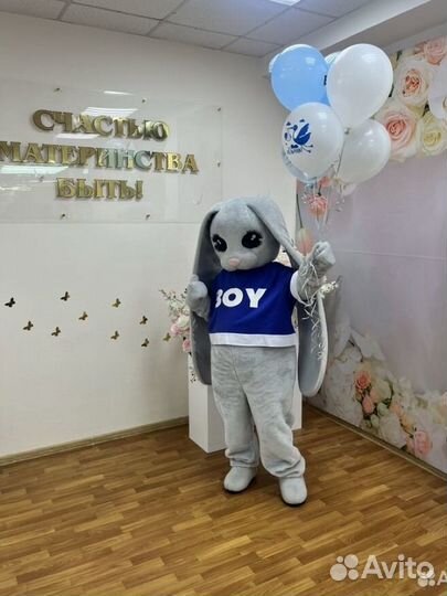 Зайка & Мишка Тедди С Днём Рождения Сюрприз