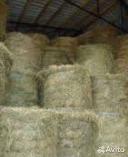 Сено доставка 2023 рулоны кипы