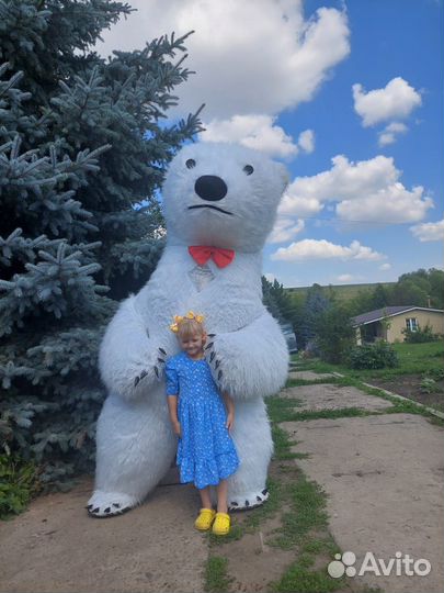 Белый Мишка на любой праздник