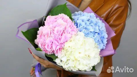 Букет из гортензий