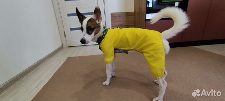 Комбинезон болоневый с воротником-стойкой желтый