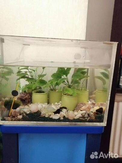 Аквариум действующий, 50л