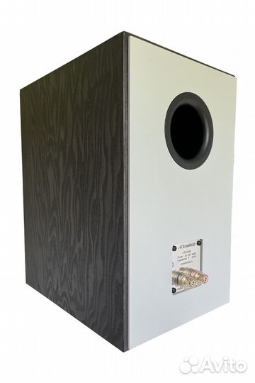 Полочная акустика Avalon