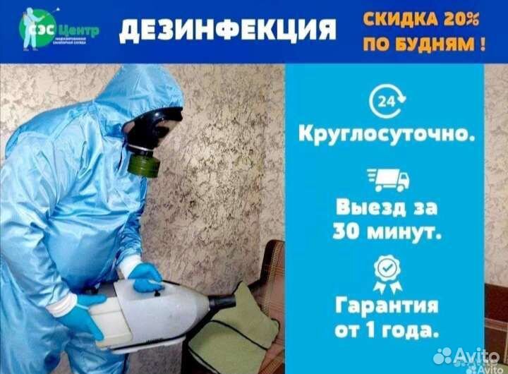 Уничтожение клопов тараканов мышей блох клещей